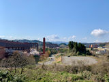 101442_01.jpeg