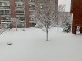 101552_06.jpeg